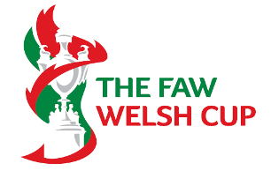 Welsh Cup logo