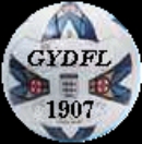 Gt Yarmouth & District League logo