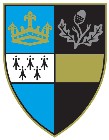 Surrey County Intermediate League (Western) logo